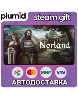 Norland Steam Gift / Россия + МИР / АВТО Norland Steam Gift / Россия + МИР / АВТО