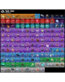 FN (для всех платформ) 314 скинов (105 платных) 400 VB Полный доступ