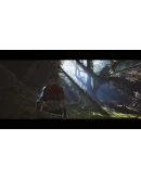 1348 Ex Voto: Deluxe Edition - STEAM GIFT РОССИЯ