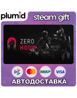 Zero Hour Steam Gift / Россия + МИР / АВТО