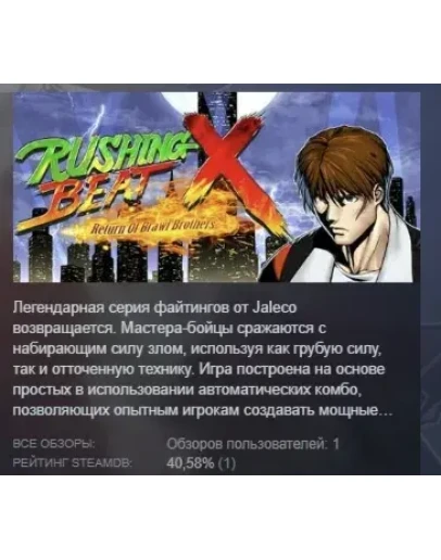 RUSHING BEAT X: Return Of Brawl Brothers АВТОДОСТАВКА STEAM РОССИЯ