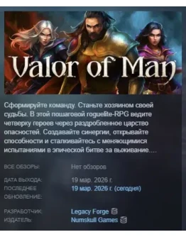 Valor of Man АВТОДОСТАВКА STEAM РОССИЯ