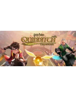 Harry Potter: Quidditch ChampionsRegion freeSteam KeyАвтовыдача