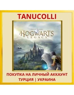 Хогвартс. Наследие Hogwarts Legacy PS4/PS5/PS Турция/Украина