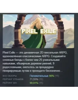 Pixel Exile АВТОДОСТАВКА STEAM РОССИЯ