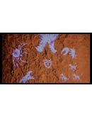 SKULL ISLAND: RISE OF KONGXBOX ONEXSКЛЮЧ