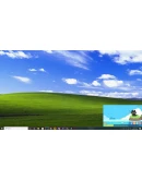 Desktop Fishing Cat АВТОДОСТАВКА STEAM РОССИЯ