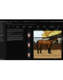 Horse Racing Manager Выбор Региона Стим STEAM GIFT АВТО 24/7 ГАРАНТИЯ Horse Racing Manager Выбор Региона Стим STEAM GIFT АВТО 24/7 ГАРАНТИЯ
