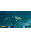 DEEP DIVING ADVENTURESXBOX ONEXSКЛЮЧ