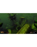 DEEP DIVING ADVENTURESXBOX ONEXSКЛЮЧ