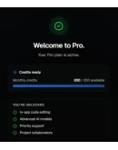 Blink.new Подписка Starter/Pro на 30 дней