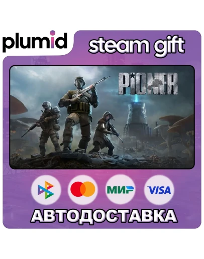 PIONER Steam Gift / МИР / АВТО