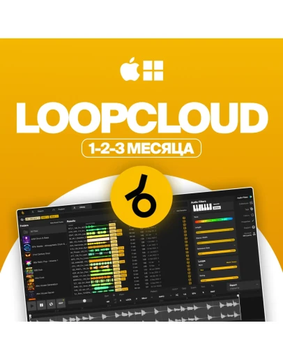 LOOPCLOUD ПОДПИСКА НА 1-3 МЕСЯЦА ВСЕ ПЛАНЫ
