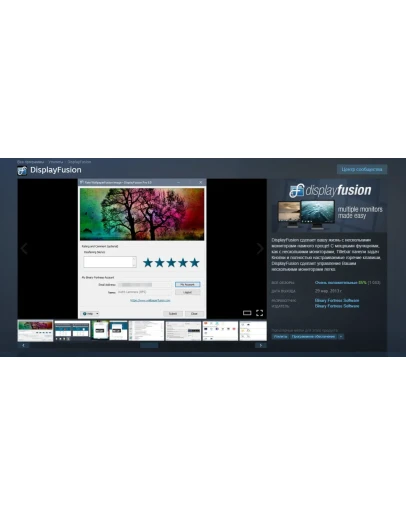 DisplayFusion Steam Gift