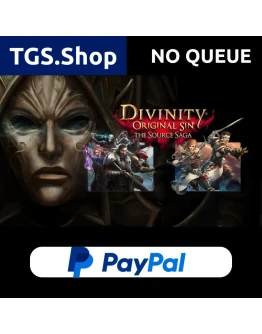 Divinity: Original Sin 2 + 1 STEAM PAYPAL