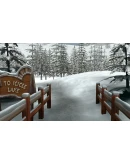 Nancy Drew: The White Wolf of Icicle Выбор Региона Стим STEAM GIFT АВТО 24/7 ГАРАНТИ
