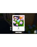 Shashingo: Learn Japanese with Photog Выбор Региона Стим STEAM GIFT АВТО 24/7 ГАРАНТИ