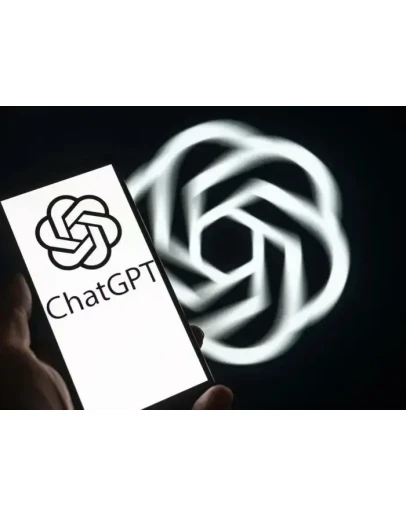 ChatGPT Market / PLUS - TEAM - BUSINESS NO SHARED Private Account