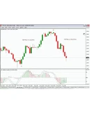 Советник по торг. системе 100-800 pips для MetaTrader 4