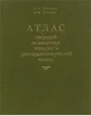 Атлас операций на пищеводе, желудке и 12-перстной кишке Атлас операций на пищеводе, желудке и 12-перстной кишке