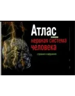 Атлас нервой системы человека Астапов В.М. 2004г.