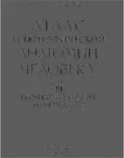 Атлас топ. анатомии человека Золотко Ю. т.III