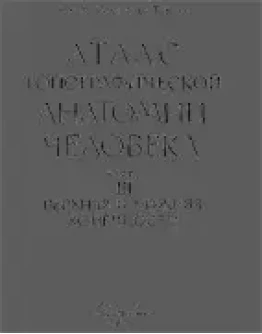 Атлас топ. анатомии человека Золотко Ю. т.II
