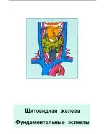 Щитовидная железа фундаментальные аспекты, Кубарко А.