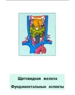 Щитовидная железа фундаментальные аспекты, Кубарко А.И.