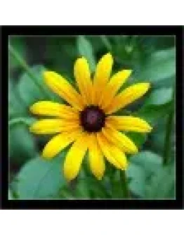 14 Лучших программы массовой рассылки сообщений по ICQ