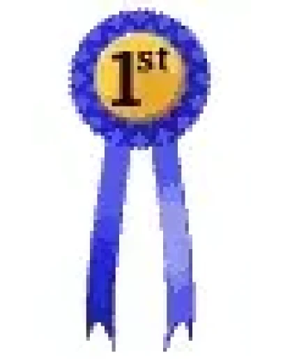 Скрипт клуба пользователей