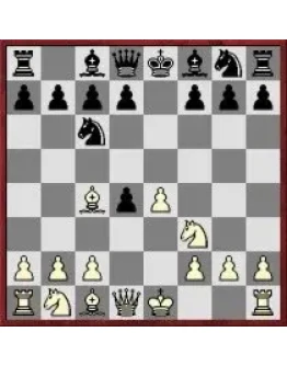 Практика шахмат