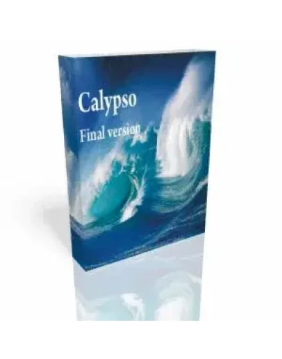 Calypso 1.04 Мультивалютный и хеджевый
