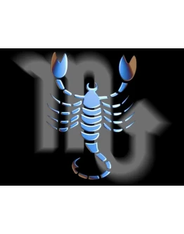 Самоучитель работы с астрологическим процессором ZET 8