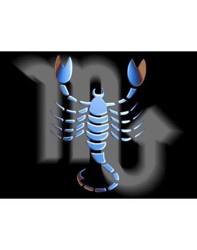 Самоучитель работы с астрологическим процессором ZET 8 Самоучитель работы с астрологическим процессором ZET 8