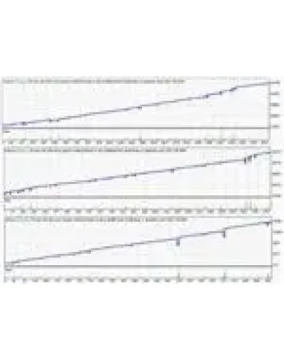 Система betfair