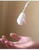 Секреты фокусов (микромагия) ВИДЕО КУРС