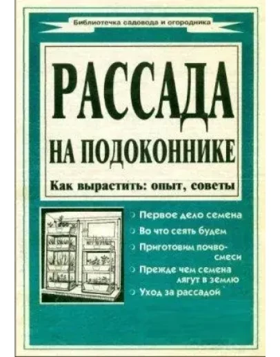 Рассада на подоконнике + БОНУС