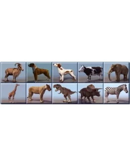 3D модели животных + БОНУС