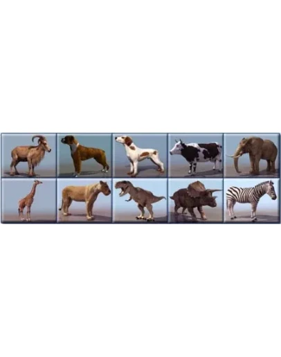 3D модели животных + БОНУС