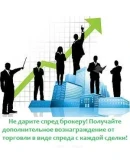 Expert BEE 2 FX Пчела 