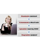 Expert BEE 2 FX Пчела 