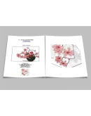 Схема для вышивки 