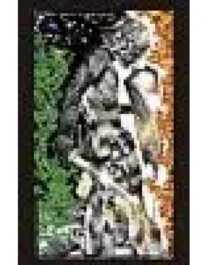 Книга Воина Тьмы - Эволюция Воина