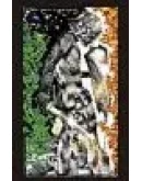 Книга Воина Тьмы - Эволюция Воина