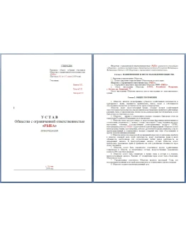 Образец нового Устава ООО согласно нового закона 312-ФЗ