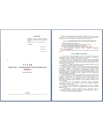 Образец нового Устава ООО согласно нового закона 312-ФЗ