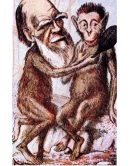 Сны и бред (продолжение)