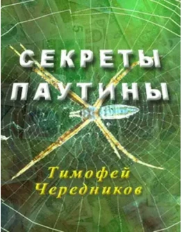 СЕКРЕТЫ ПАУТИНЫ