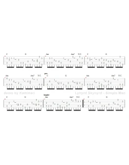 Ноты для гитары! Lynyrd Skynyrd Simple Man